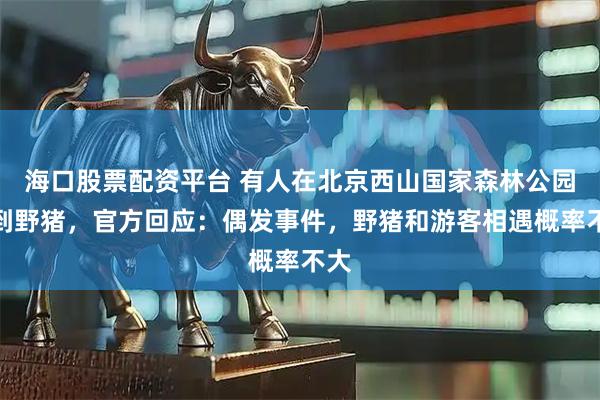 海口股票配资平台 有人在北京西山国家森林公园拍到野猪，官方回应：偶发事件，野猪和游客相遇概率不大