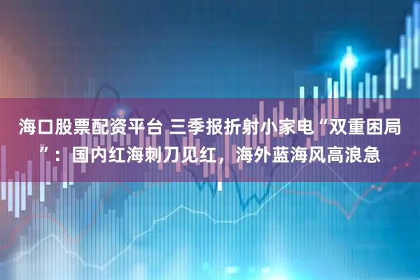 海口股票配资平台 三季报折射小家电“双重困局”：国内红海刺刀见红，海外蓝海风高浪急